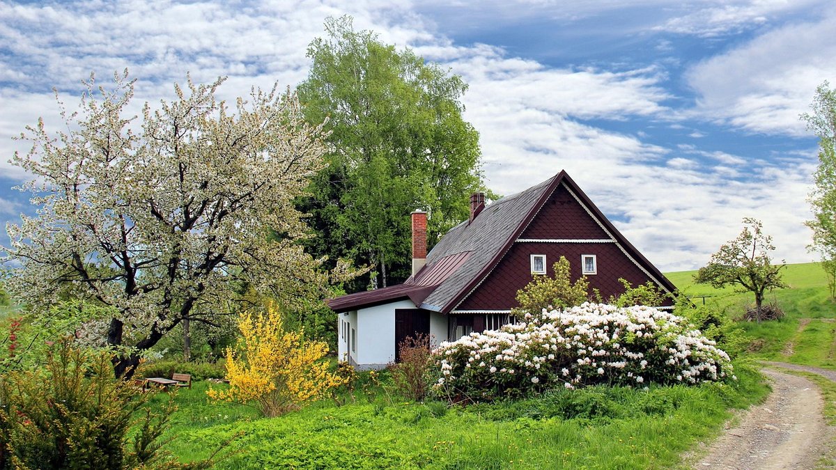 Essential Garden Tools for Rose Growers
