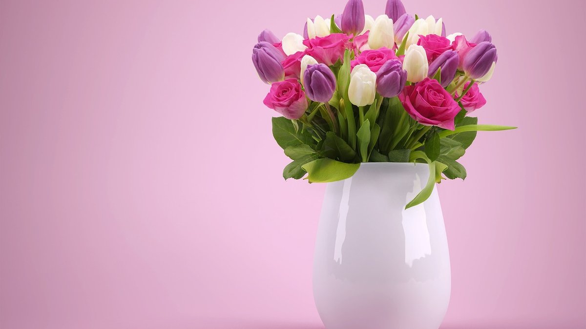 Repotting Container Roses for Healthy Root Systems